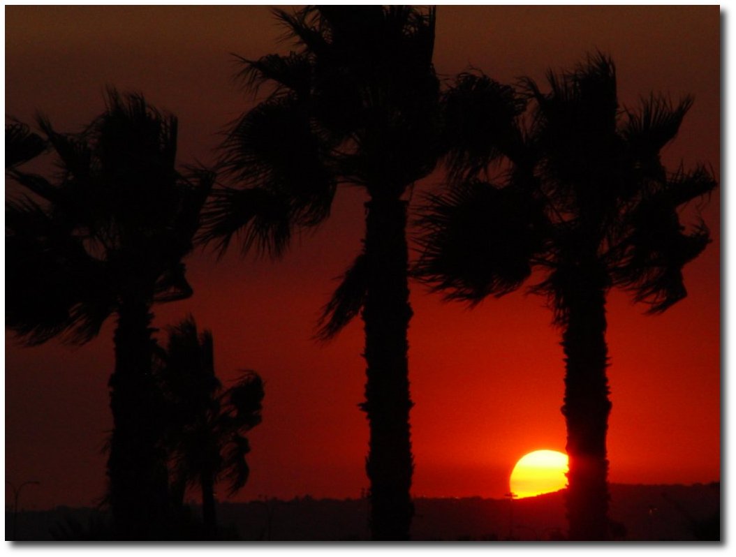 sunsetinla.jpg