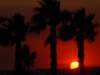 sunsetinla_small.jpg